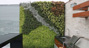 jardin vertical, jardines verticales