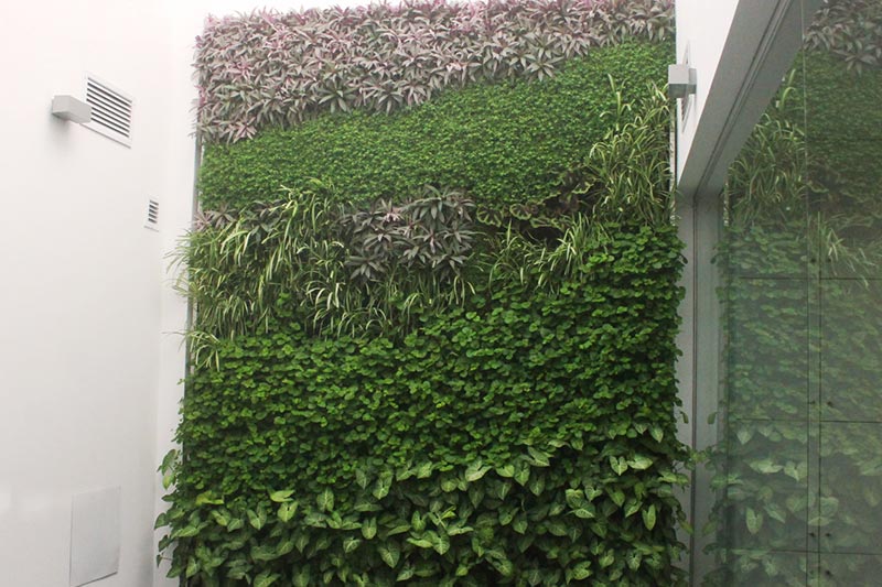 jardin vertical, jardines verticales